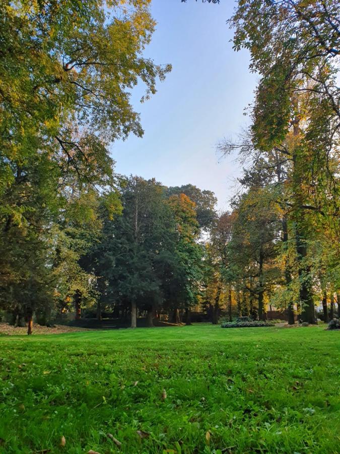 Villa Bottini La Limonaia Robecco d'Oglio Dış mekan fotoğraf